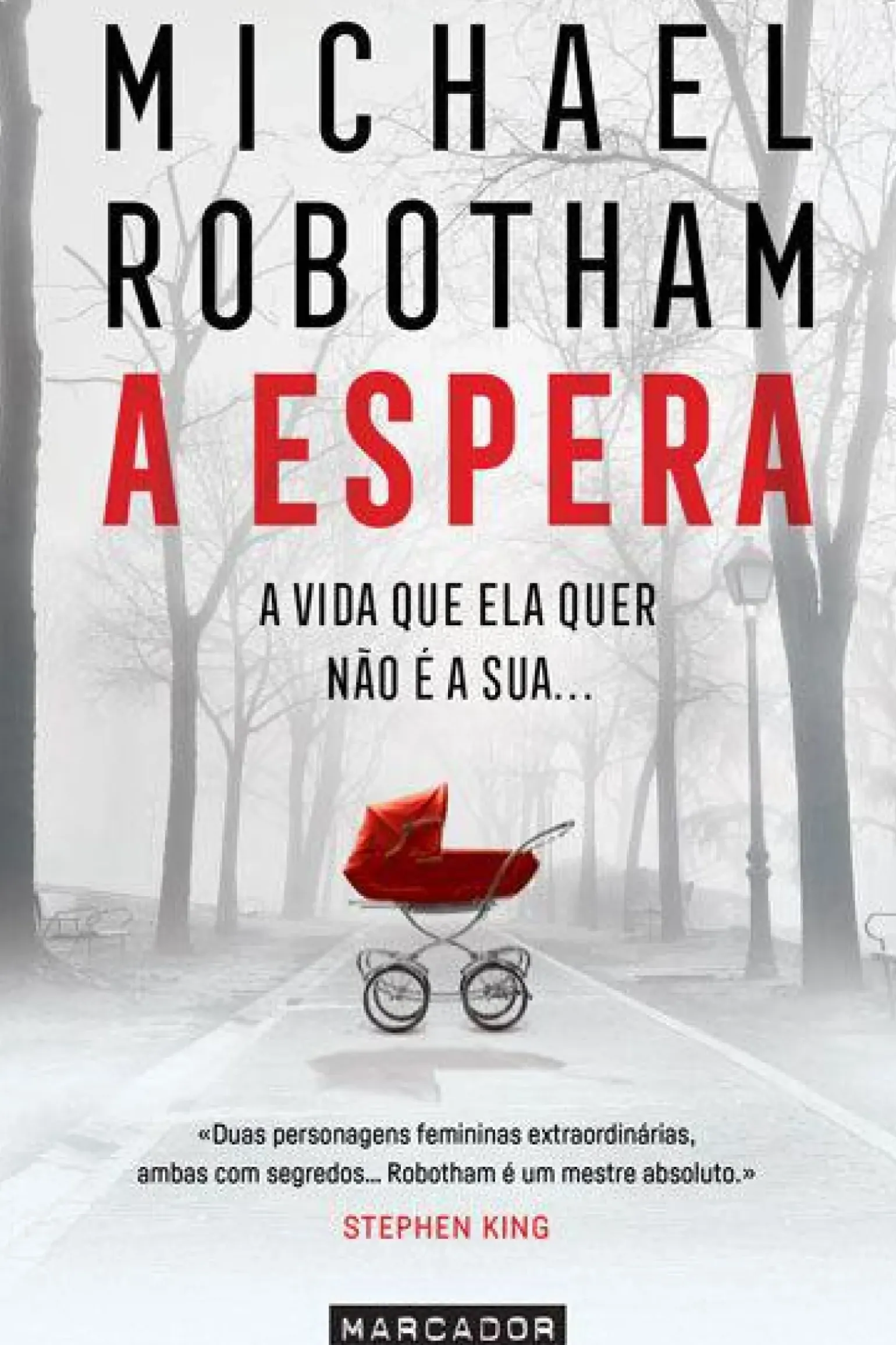 A Espera de Michael Robotham
