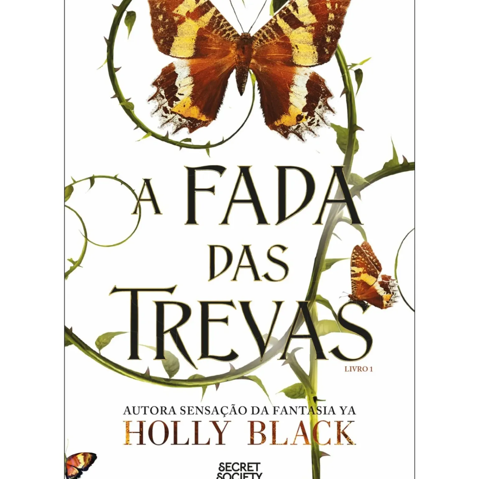 A Fada das Trevas de Holly Black - Livro 1