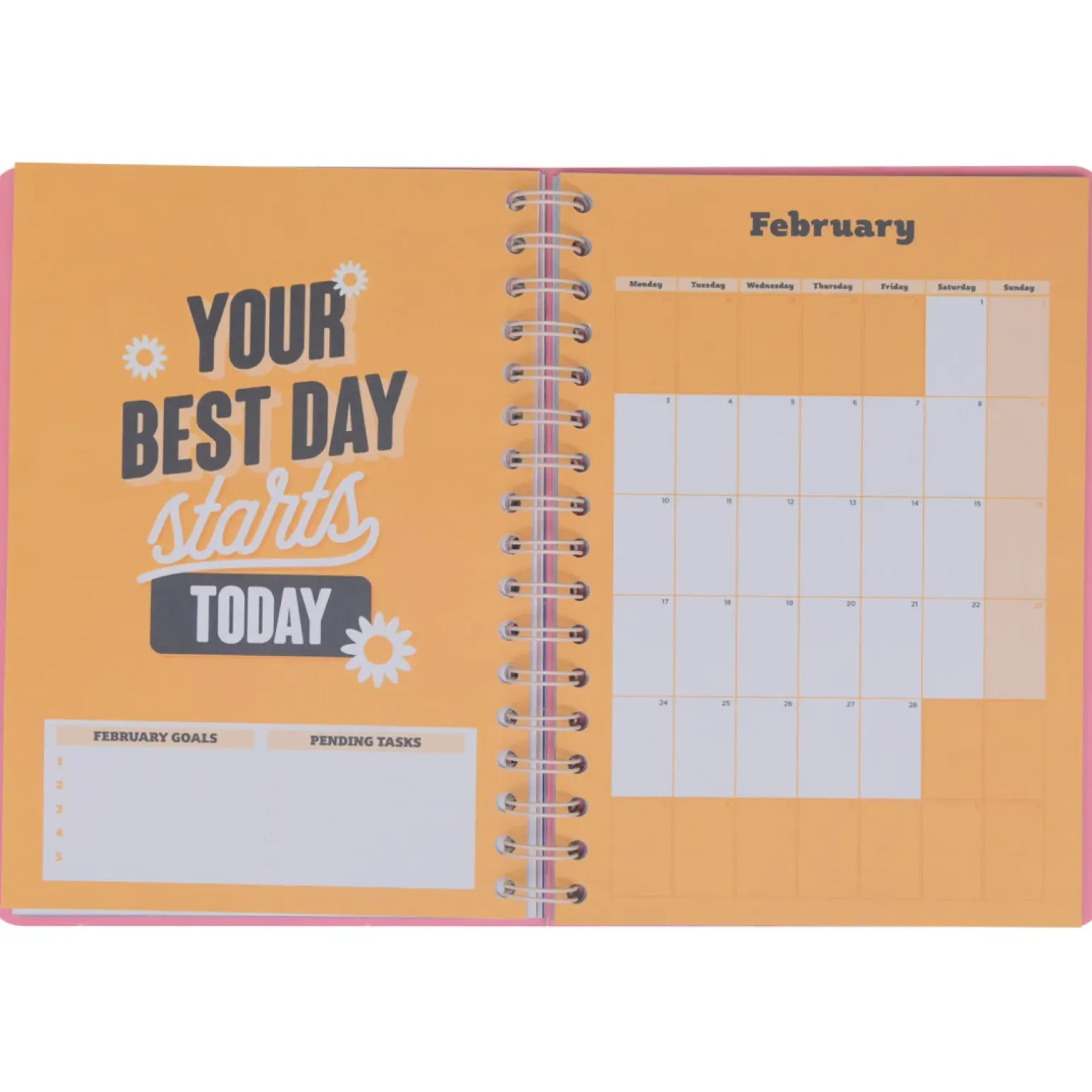 Agenda Basic 24/25 Semanal Grande - Small Steps