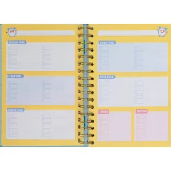 Agenda Wonder 24/25 Dia Grande - O Melhor De Cada Dia