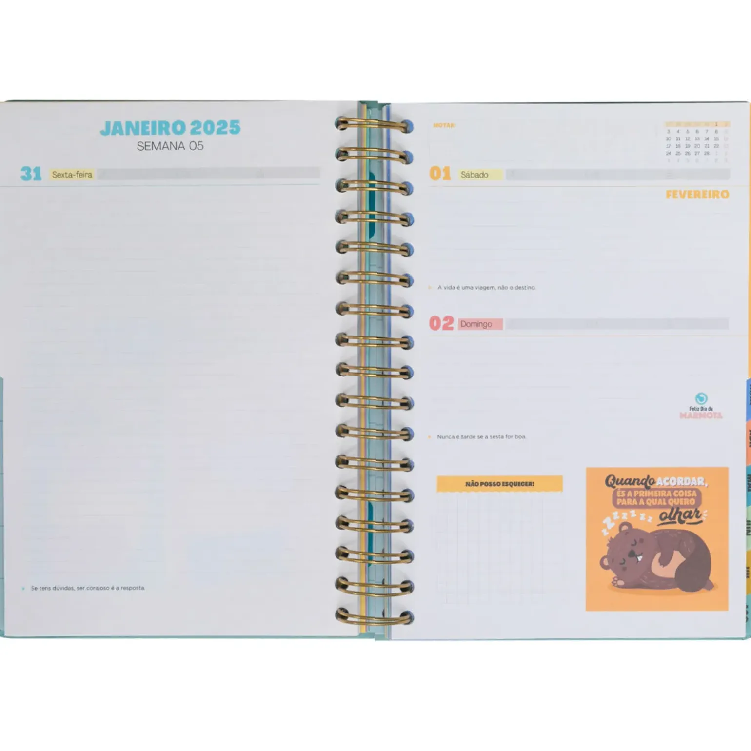 Agenda Wonder 24/25 Dia Grande - O Melhor De Cada Dia