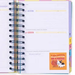 Agenda Wonder 25-26 Diária Pequena- Dia À Vista