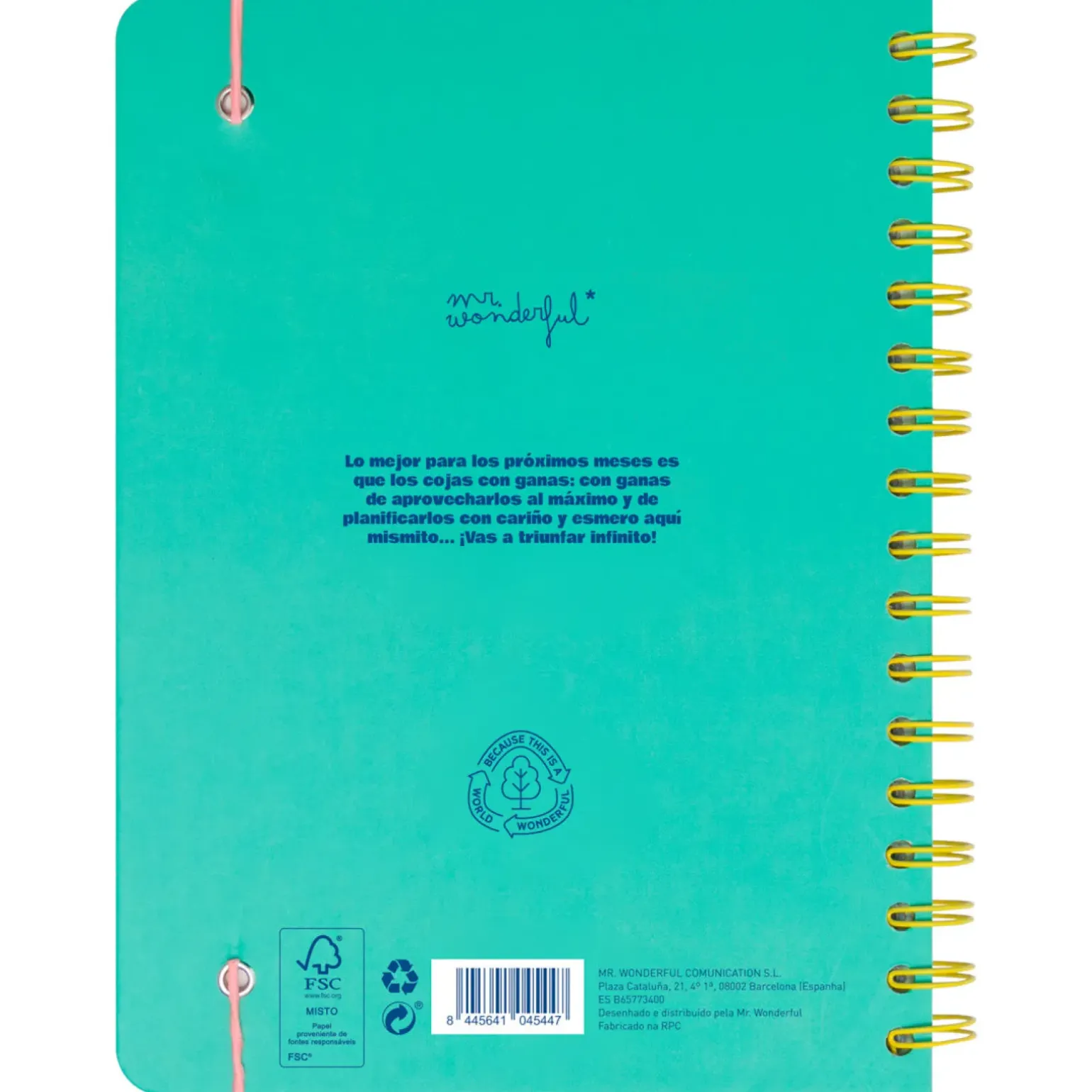 Agenda Wonder 24/25 Semanal Grande - Ready Para Celebrar Tudo o que Vou Alcançar