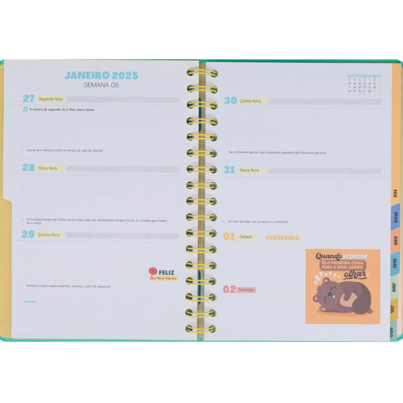 Agenda Wonder 24/25 Semanal Grande - Ready Para Celebrar Tudo o que Vou Alcançar