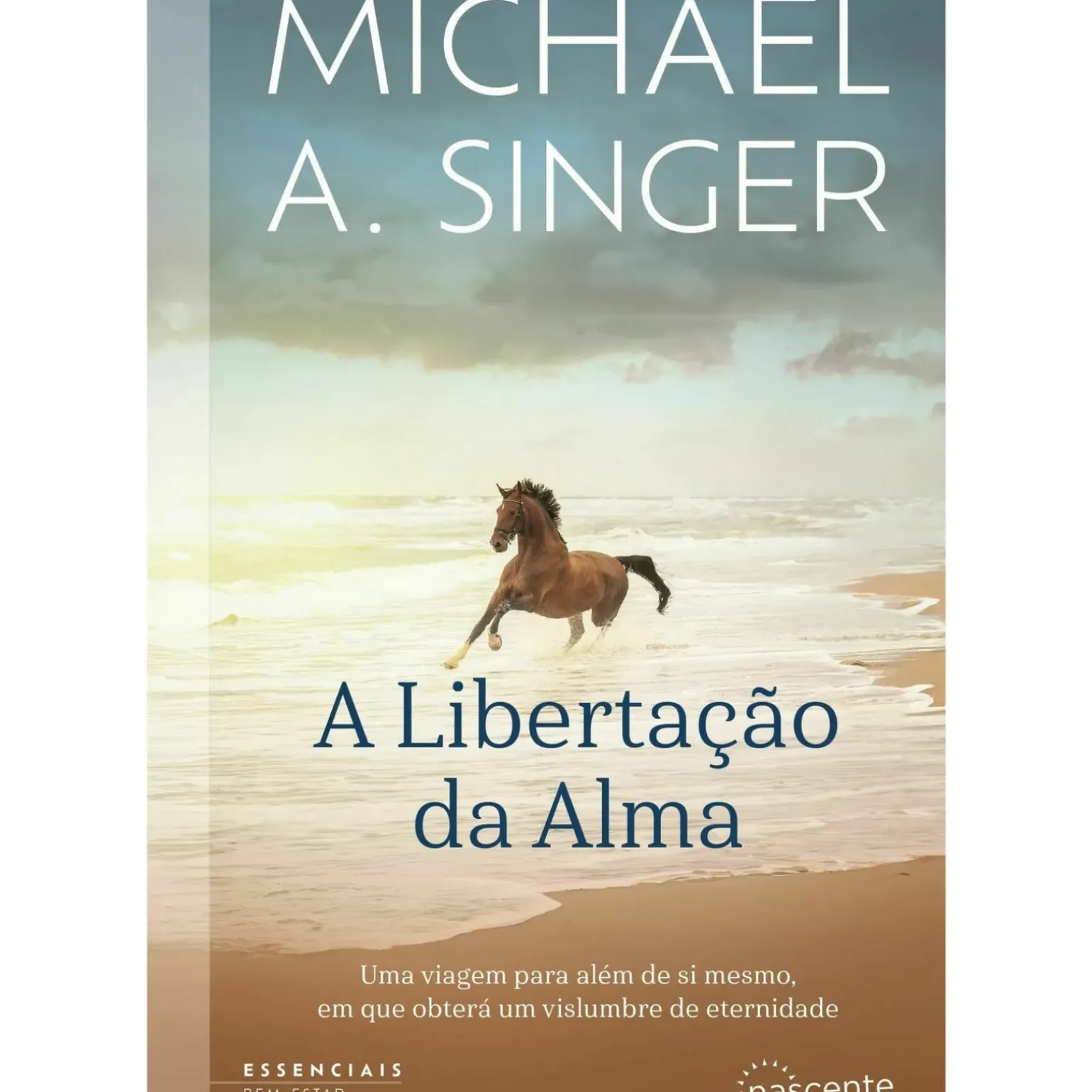 A Libertação da Alma de Michael Singer