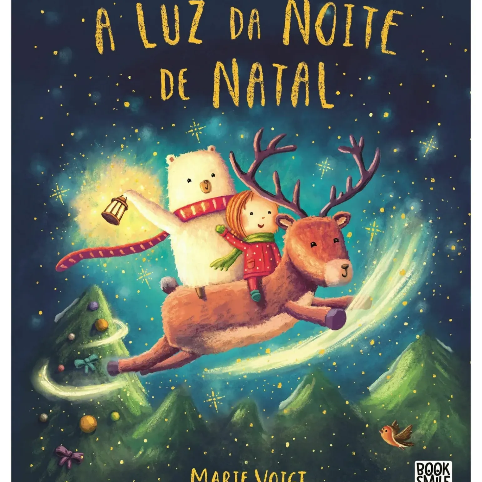 A Luz da Noite de Natal de Marie Voigt