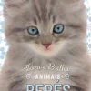 Animais Bebés - Toca e Brilha