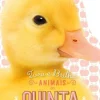 Animais da Quinta - Toca e Brilha