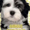 Animais de Estimação - Toca e Brilha