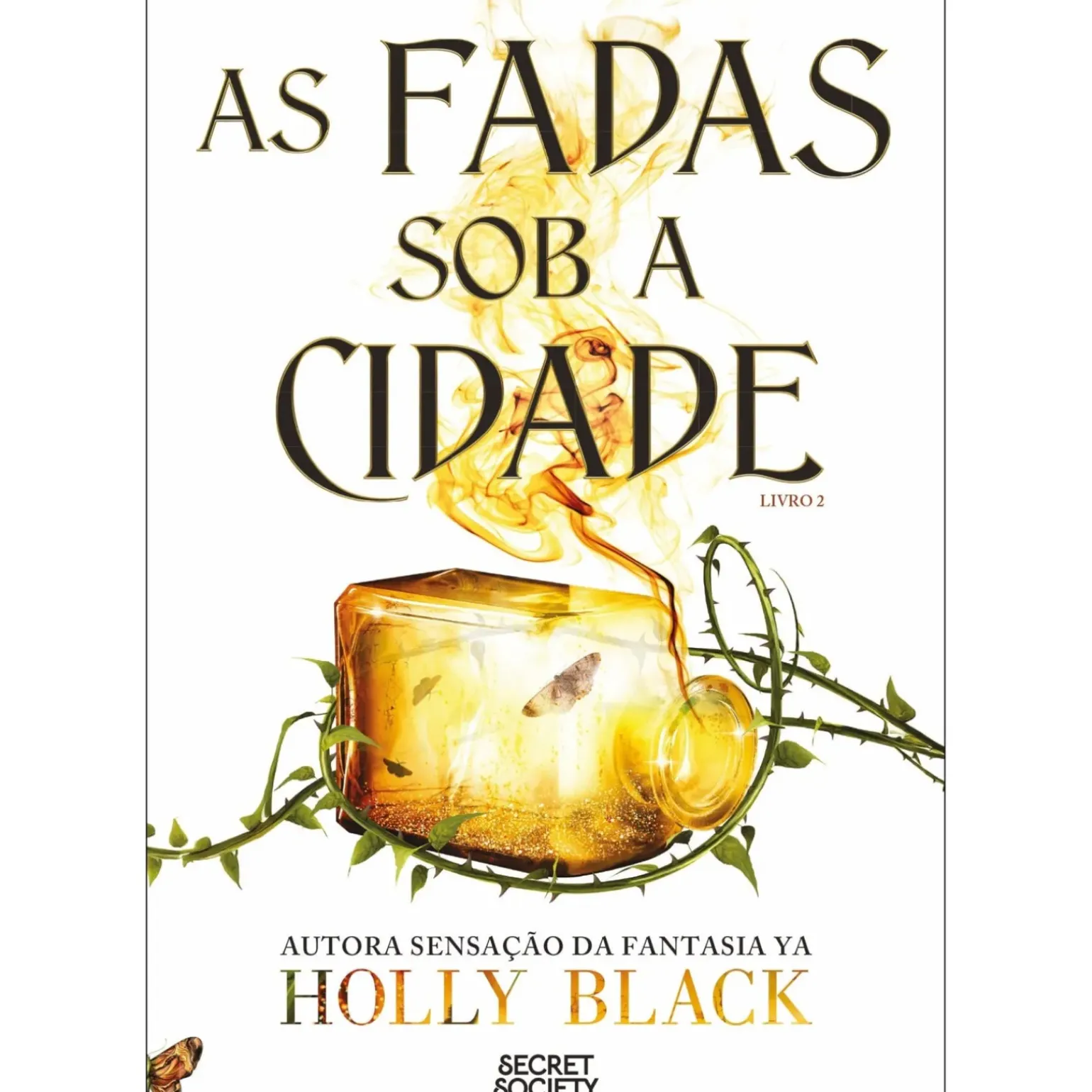 As Fadas Sob A Cidade de Holly Black