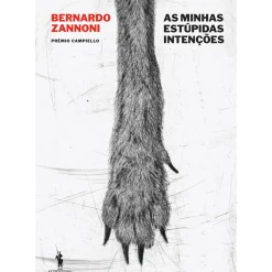 As Minhas Estúpidas Intenções de Bernardo Zannoni