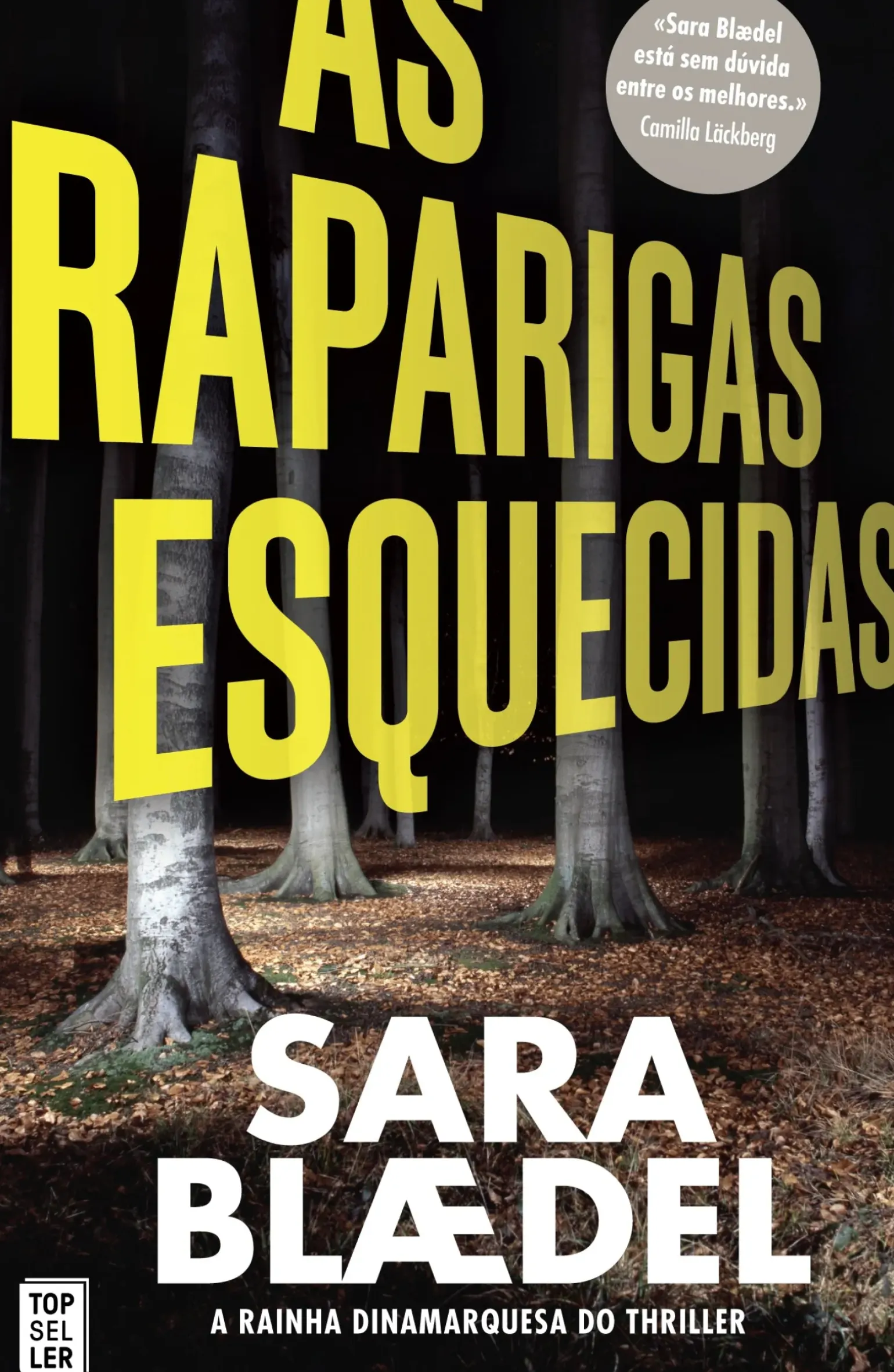 As Raparigas Esquecidas de Sara Blædel