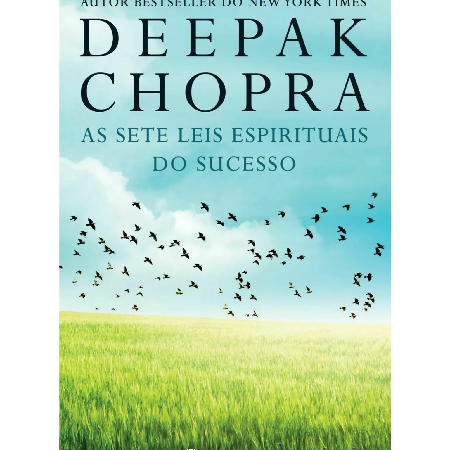 As Sete Leis Espirituais do Sucesso de Deepak Chopra