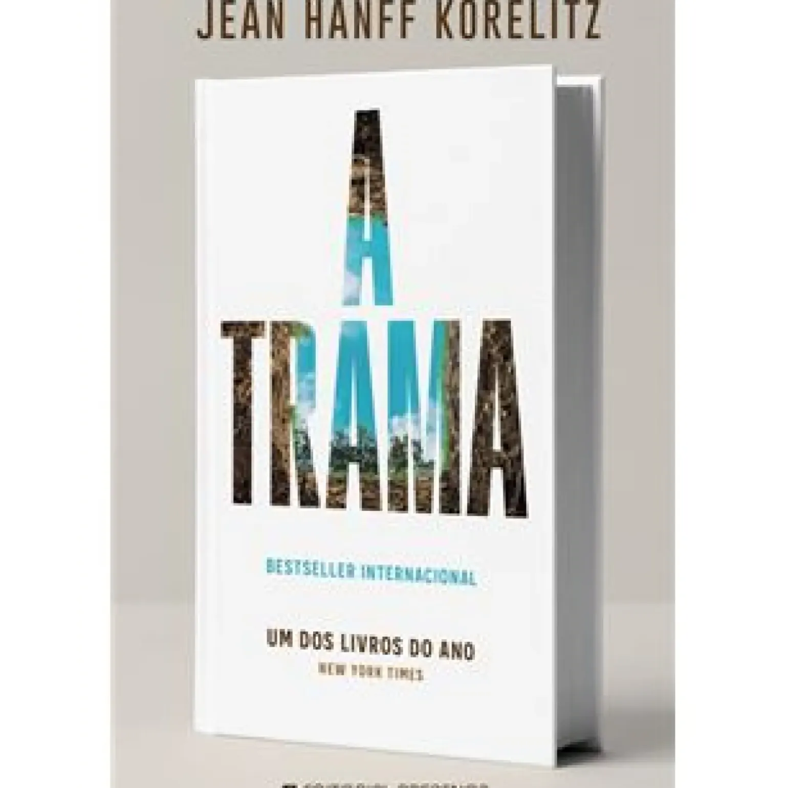A Trama de Jean Hanff Korelitz