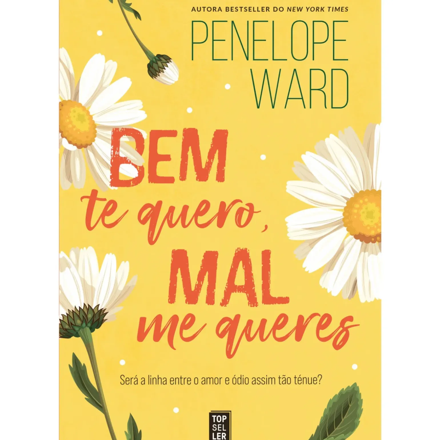 Bem Te Quero, Mal Me Queres de Penelope Ward