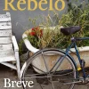 Breve História de Amor de Tiago Rebelo