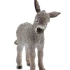 Burrinho Cria