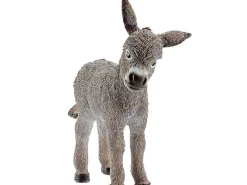 Burrinho Cria