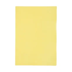 Caderno Agrafado A4 Flex 48 Folhas Quadriculado Pastel Note! (artigo sortido)