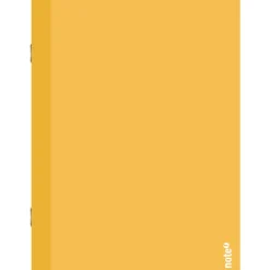 Caderno Agrafado A4 48 Folhas 90Gr Pautado Colors Note!