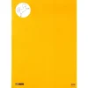 Caderno Desenho Cavalinho A2 24 Folhas 125G