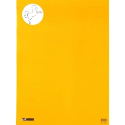 Caderno Desenho Cavalinho A2 24 Folhas 125G