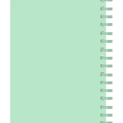 Caderno Espiral A5 80 Folhas 70G Pautado Pins Note!