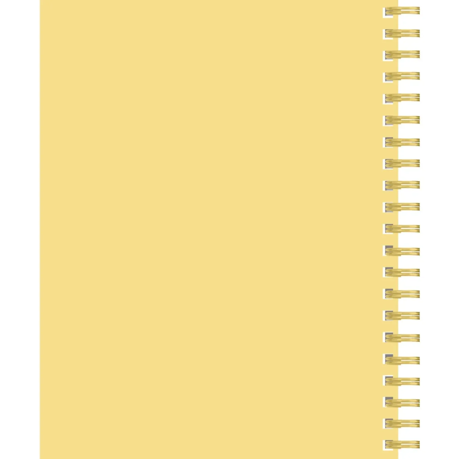 Caderno Espiral A4 80 Folhas 70G Pautado Pins Note!