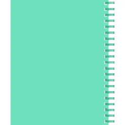 Caderno Espiral A4 80 Folhas 70G Pautado Pins Note!