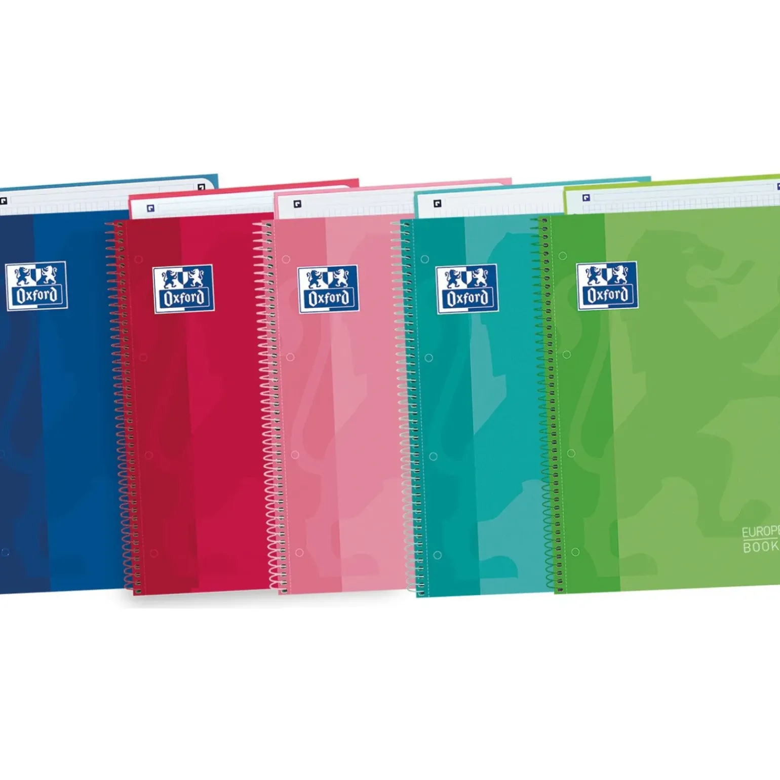 Caderno Espiral A4 80 Folhas 90 Gr Cor Vivas