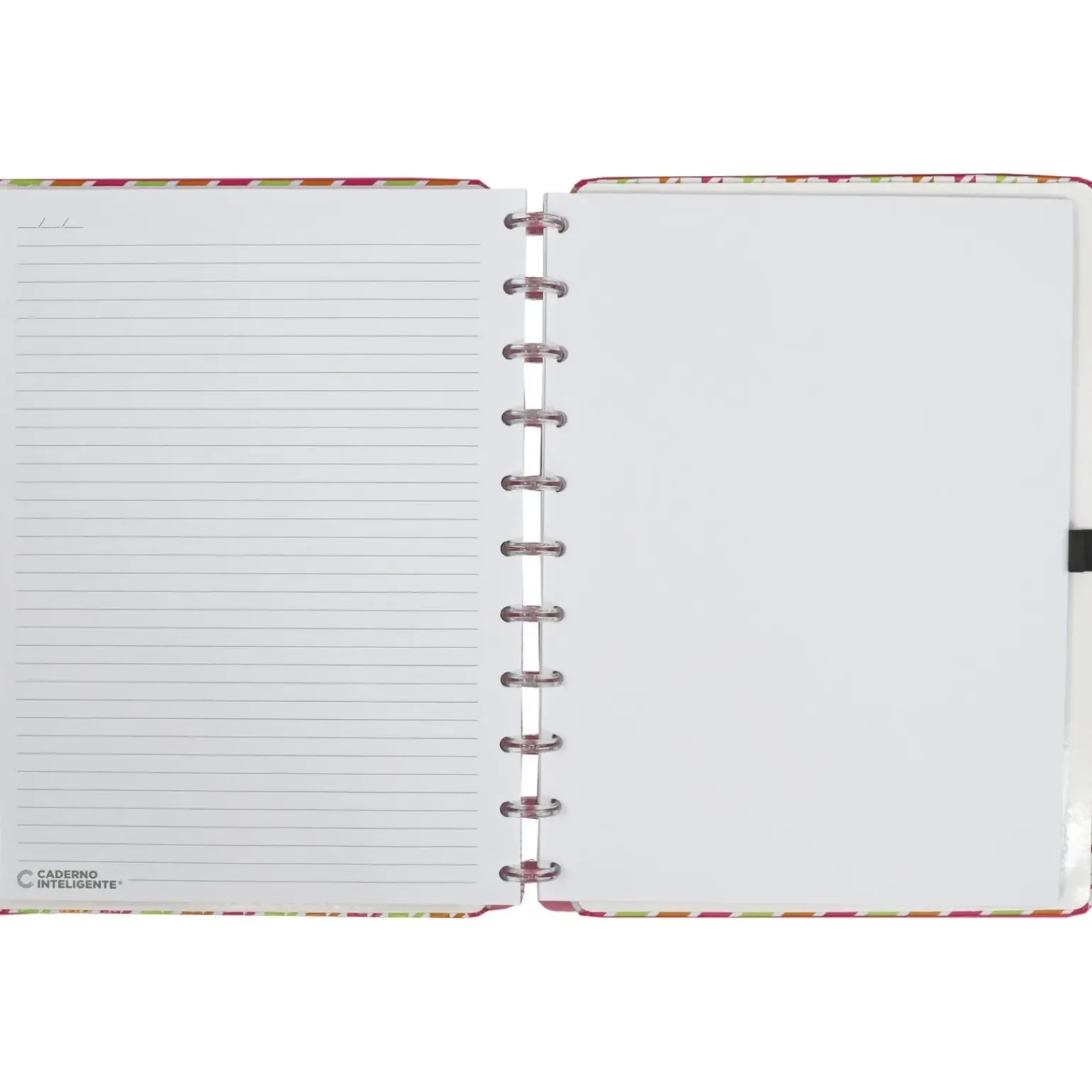 Caderno Inteligente Grande Príncipe Gales New York