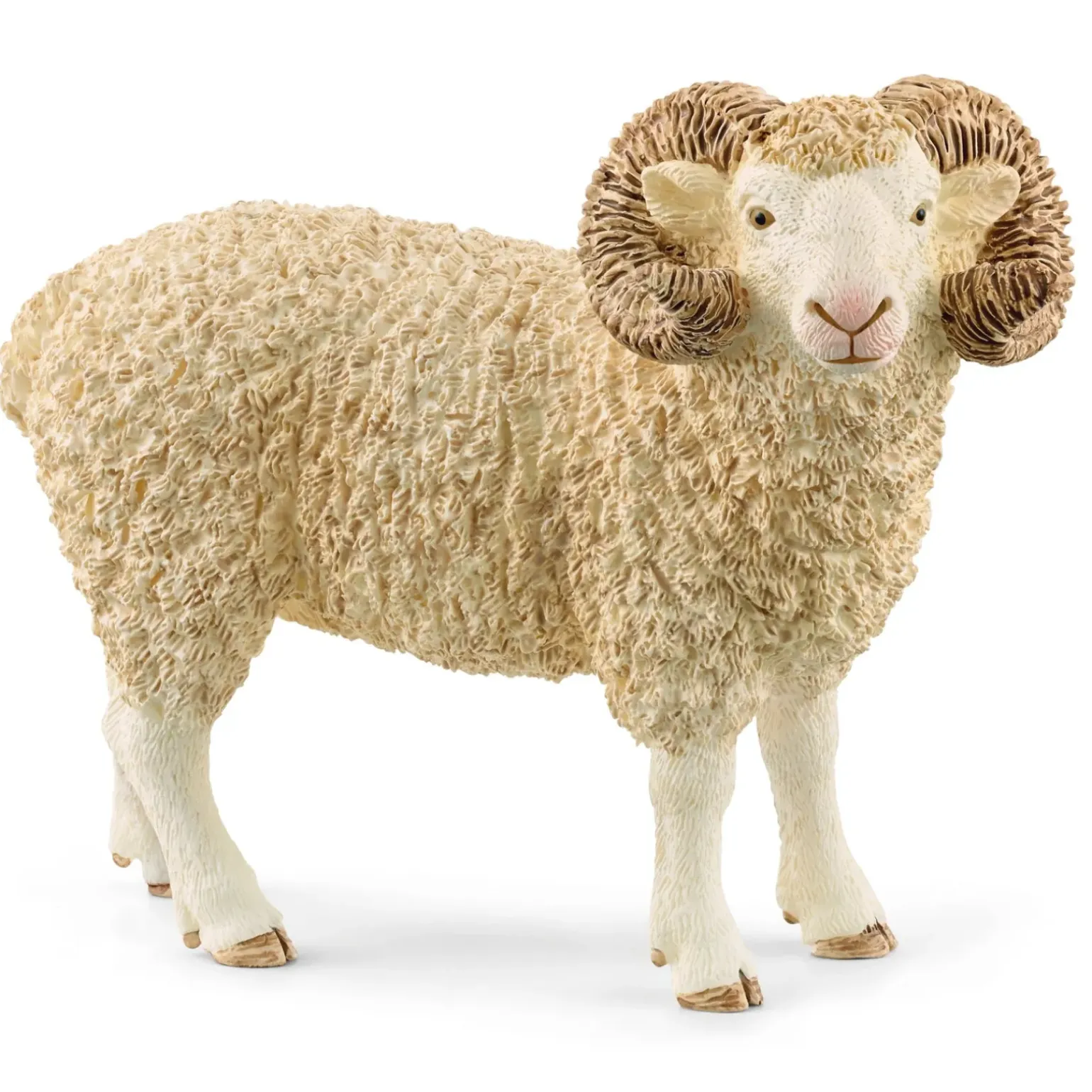 Carneiro Schleich