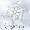 Como Cai a Neve de Erin Doom