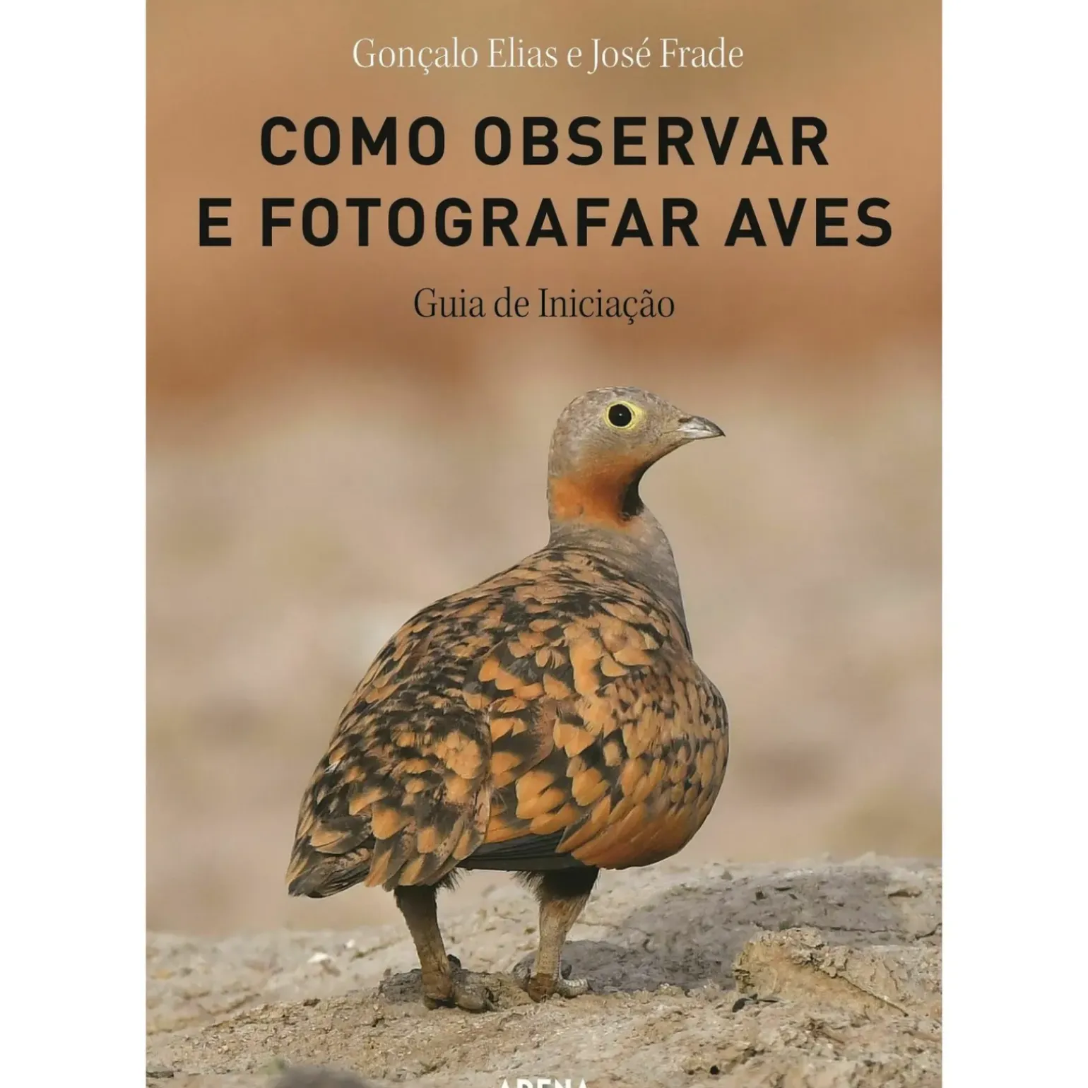Como Observar e Fotografar Aves