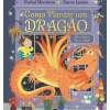 Como Plantar um Dragão de Rachel Morrisroe