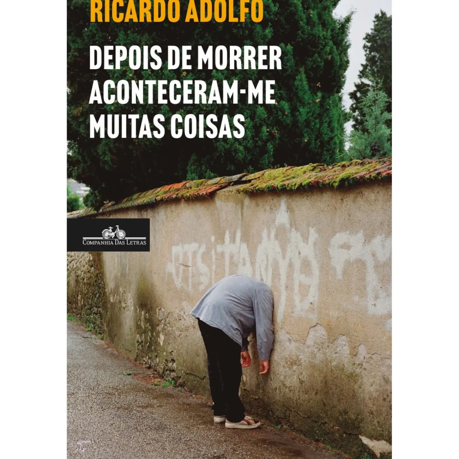 Depois de Morrer Aconteceram-me Muitas Coisas de Ricardo Adolfo