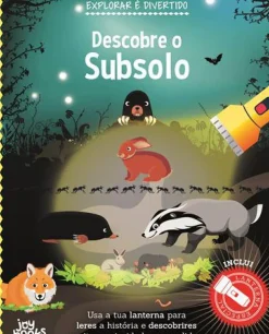 Descobre o Subsolo de Vários Autores - Explorar é Divertido
