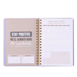 Diário 25-26 Semanal - Effort Action Success