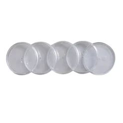 Discos E Elástico 3,1Cm Transparente Caderno Inteligente