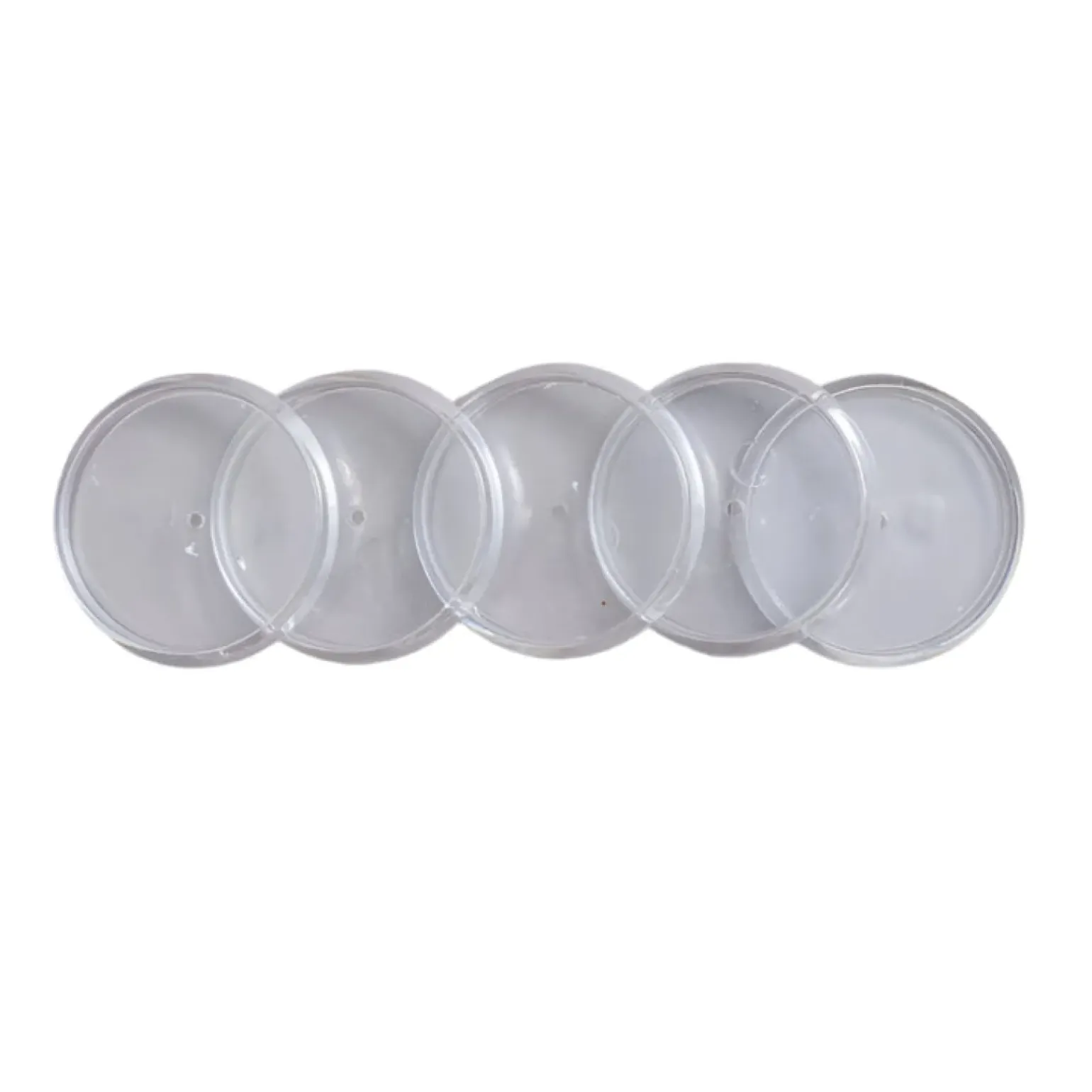 Discos E Elástico 3,1Cm Transparente Caderno Inteligente
