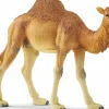 Dromedário Schleich