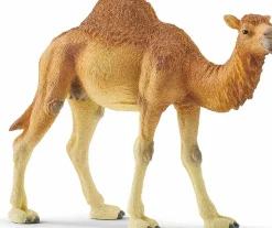 Dromedário Schleich