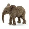 Elefante Africano Cria