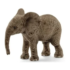 Elefante Africano Cria