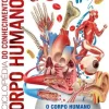 Enciclopédia do Conhecimento - Corpo Humano de Dorling Kindersley - O Corpo Humano Explorado ao Pormenor