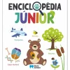 Enciclopédia Júnior