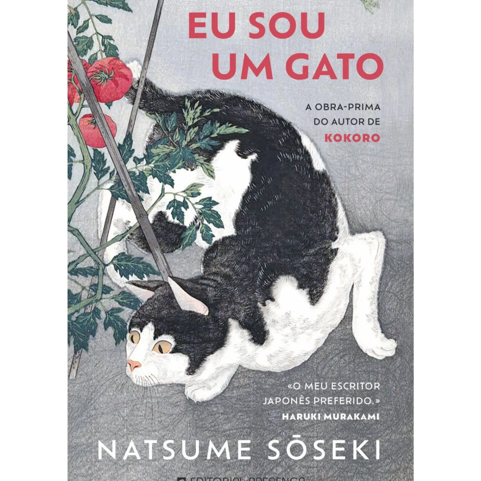 Eu Sou um Gato de Natsumé Sôséki