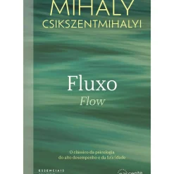 Fluxo Flow de Mihaly Csikszentmihalyi