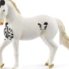 Garanhão Marwari Schleich