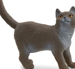 Gato Británico De Pelo Curto Schleich